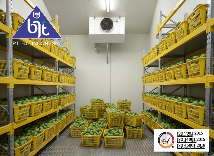 Penyimpanan Mangga Optimal dengan Teknologi Cold Storage dan Chiller